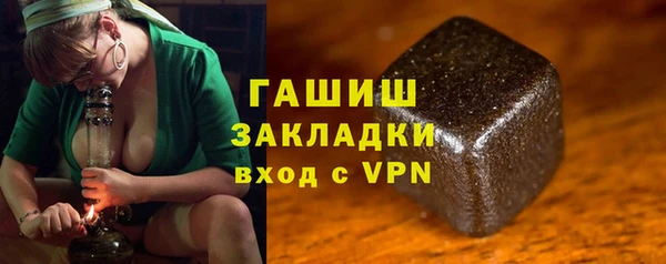 прущие грибы Елабуга